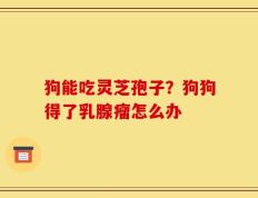 狗能吃灵芝孢子？狗狗得了乳腺瘤怎么办