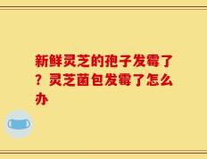 新鲜灵芝的孢子发霉了？灵芝菌包发霉了怎么办