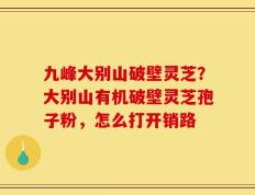 九峰大别山破壁灵芝？大别山有机破壁灵芝孢子粉，怎么打开销路