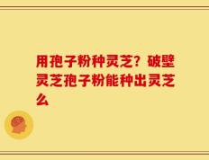 用孢子粉种灵芝？破壁灵芝孢子粉能种出灵芝么