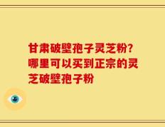甘肃破壁孢子灵芝粉？哪里可以买到正宗的灵芝破壁孢子粉