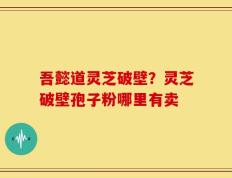 吾懿道灵芝破壁？灵芝破壁孢子粉哪里有卖