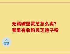 无锡破壁灵芝怎么卖？哪里有收购灵芝孢子粉