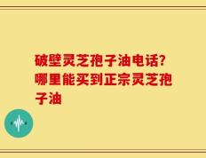 破壁灵芝孢子油电话？哪里能买到正宗灵芝孢子油