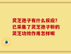 灵芝孢子有什么反应？已采集了灵芝孢子粉的灵芝功效作用怎样呢