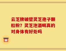 云芝牌破壁灵芝孢子颗粒粉？灵芝泡酒喝真的对身体有好处吗