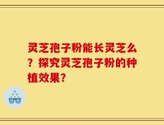 灵芝孢子粉能长灵芝么？探究灵芝孢子粉的种植效果？