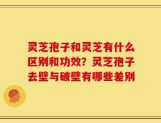 灵芝孢子和灵芝有什么区别和功效？灵芝孢子去壁与破壁有哪些差别