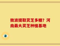 微波提取灵芝多糖？河南最大灵芝种植基地