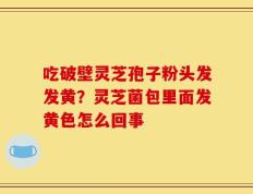 吃破壁灵芝孢子粉头发发黄？灵芝菌包里面发黄色怎么回事