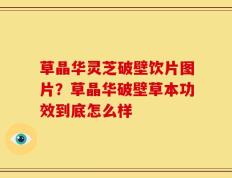 草晶华灵芝破壁饮片图片？草晶华破壁草本功效到底怎么样