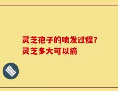 灵芝孢子的喷发过程？灵芝多大可以摘