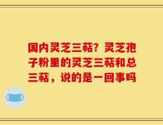 国内灵芝三萜？灵芝孢子粉里的灵芝三萜和总三萜，说的是一回事吗