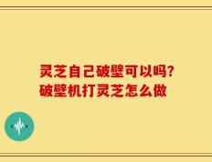 灵芝自己破壁可以吗？破壁机打灵芝怎么做