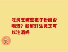 吃灵芝破壁孢子粉能否喝酒？新鲜野生灵芝可以泡酒吗