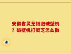 安徽省灵芝细胞破壁机？破壁机打灵芝怎么做