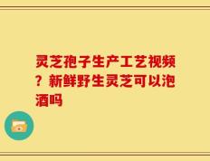 灵芝孢子生产工艺视频？新鲜野生灵芝可以泡酒吗