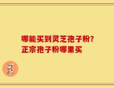 哪能买到灵芝孢子粉？正宗孢子粉哪里买