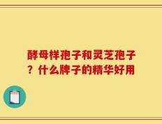 酵母样孢子和灵芝孢子？什么牌子的精华好用