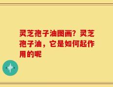 灵芝孢子油图画？灵芝孢子油，它是如何起作用的呢
