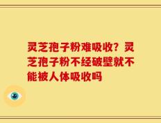 灵芝孢子粉难吸收？灵芝孢子粉不经破壁就不能被人体吸收吗