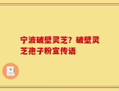 宁波破壁灵芝？破壁灵芝孢子粉宣传语