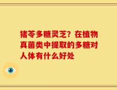 猪苓多糖灵芝？在植物真菌类中提取的多糖对人体有什么好处