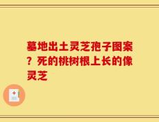 墓地出土灵芝孢子图案？死的桃树根上长的像灵芝