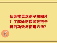 仙芝楼灵芝孢子粉图片？了解仙芝楼灵芝孢子粉的功效与使用方法？