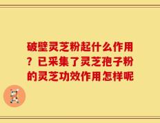 破壁灵芝粉起什么作用？已采集了灵芝孢子粉的灵芝功效作用怎样呢