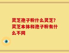 灵芝孢子粉什么灵芝？灵芝本体和孢子粉有什么不同