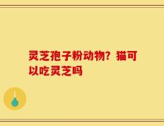 灵芝孢子粉动物？猫可以吃灵芝吗