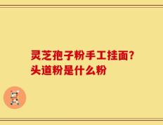 灵芝孢子粉手工挂面？头道粉是什么粉