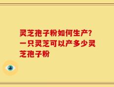 灵芝孢子粉如何生产？一只灵芝可以产多少灵芝孢子粉