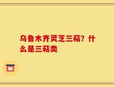 乌鲁木齐灵芝三萜？什么是三萜类