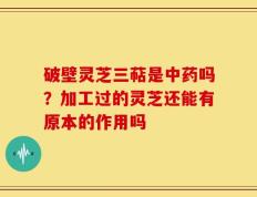 破壁灵芝三萜是中药吗？加工过的灵芝还能有原本的作用吗