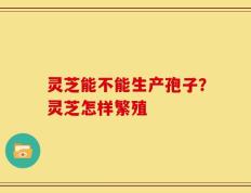 灵芝能不能生产孢子？灵芝怎样繁殖