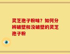 灵芝孢子粉味？如何分辨破壁和没破壁的灵芝孢子粉