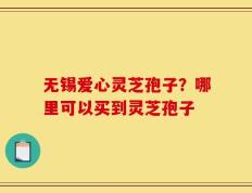 无锡爱心灵芝孢子？哪里可以买到灵芝孢子