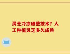 灵芝冷冻破壁技术？人工种植灵芝多久成熟