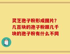 灵芝孢子粉形成图片？几百块的孢子粉跟几千块的孢子粉有什么不同