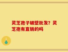 灵芝孢子破壁批发？灵芝孢有直销的吗