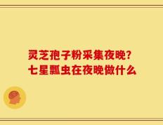 灵芝孢子粉采集夜晚？七星瓢虫在夜晚做什么