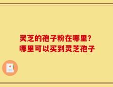 灵芝的孢子粉在哪里？哪里可以买到灵芝孢子
