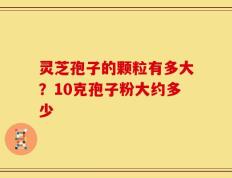 灵芝孢子的颗粒有多大？10克孢子粉大约多少