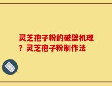 灵芝孢子粉的破壁机理？灵芝孢子粉制作法