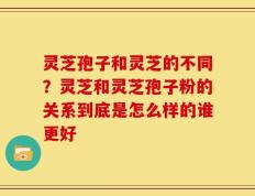 灵芝孢子和灵芝的不同？灵芝和灵芝孢子粉的关系到底是怎么样的谁更好