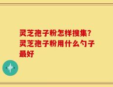灵芝孢子粉怎样搜集？灵芝孢子粉用什么勺子最好