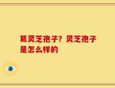 葛灵芝孢子？灵芝孢子是怎么样的