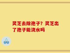 灵芝去除孢子？灵芝出了孢子能浇水吗